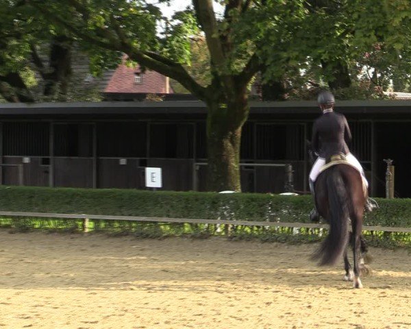 Reitturnier Bottrop-Kirchhellen 2024