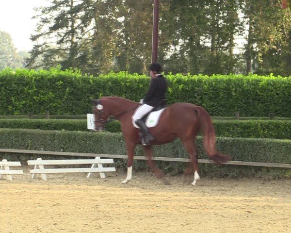 Reitturnier Bottrop-Kirchhellen 2024