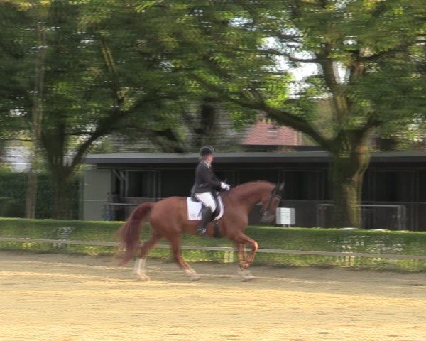Reitturnier Bottrop-Kirchhellen 2024