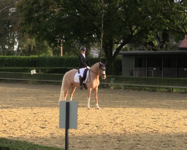 Reitturnier Bottrop-Kirchhellen 2024