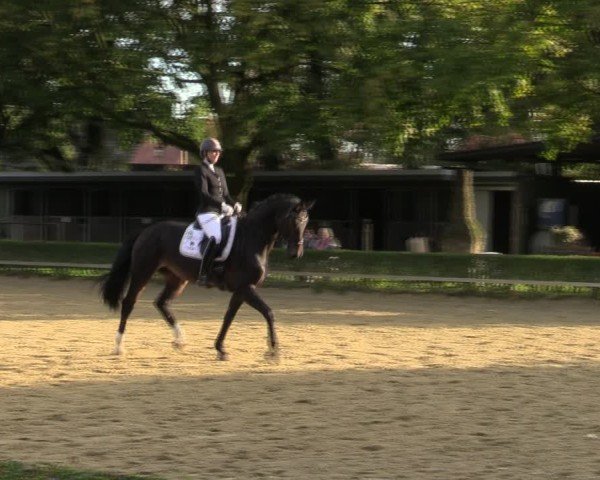Reitturnier Bottrop-Kirchhellen 2024