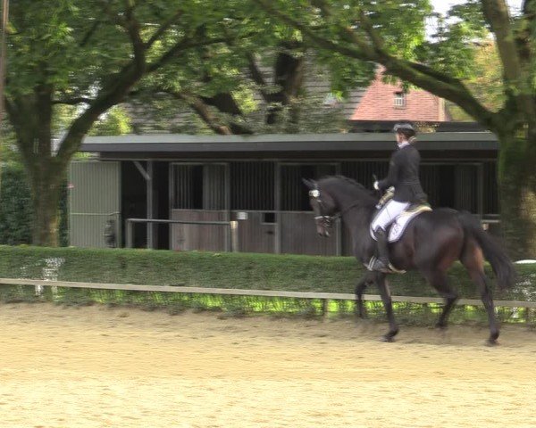 Reitturnier Bottrop-Kirchhellen 2024