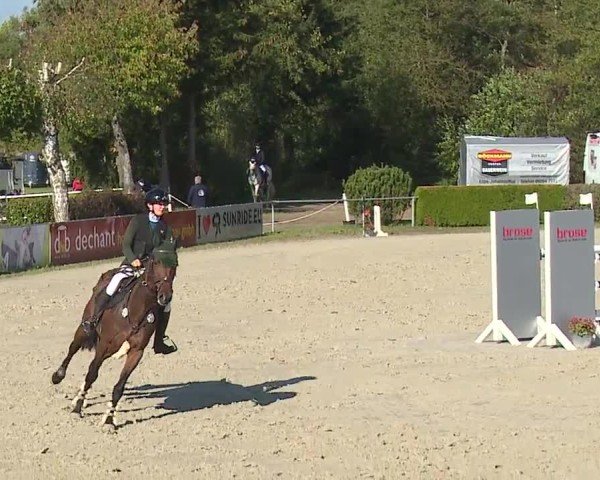 Reitturnier Frankenhof-Sonnefeld/Ofr. 2024