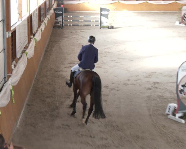 Reitturnier Xanten - Reitanlage Miss 2024