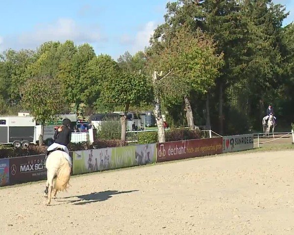 Reitturnier Frankenhof-Sonnefeld/Ofr. 2024