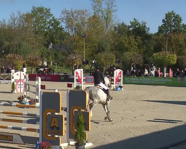Reitturnier Frankenhof-Sonnefeld/Ofr. 2024