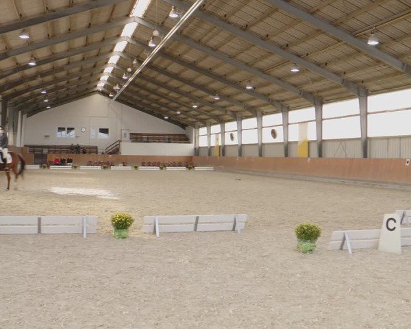Reitturnier Frechen-Grefrath - Sonnenhof 2024