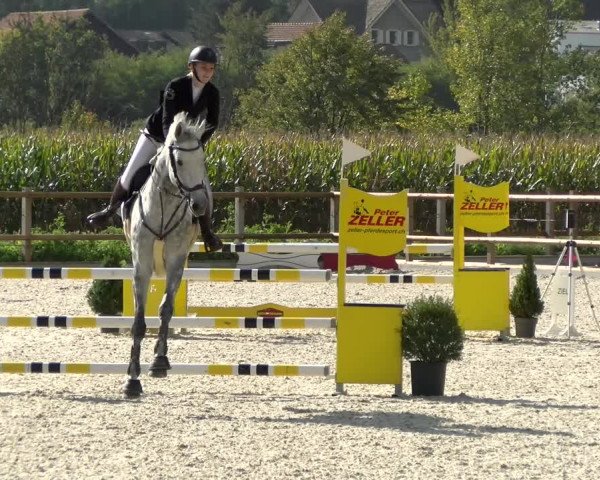 Reitturnier Felsberg 2021