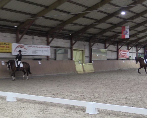 Reitturnier Elisenau 2024