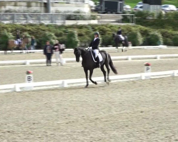 Reitturnier St. Margarethen 2024