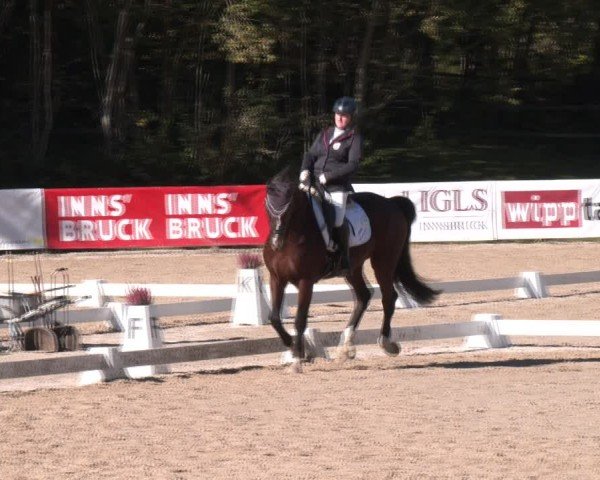 Reitturnier Igls 2024