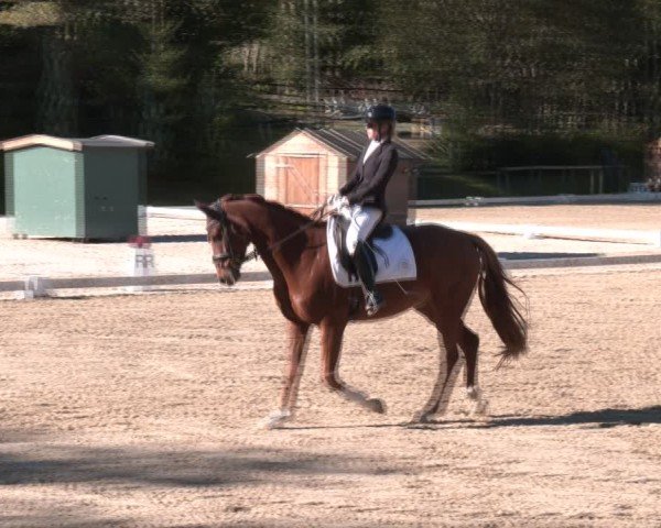 Reitturnier Igls 2024