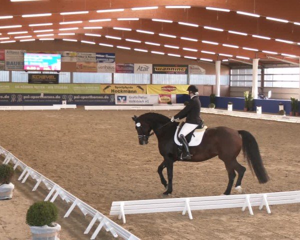 Reitturnier Isterberg 2024