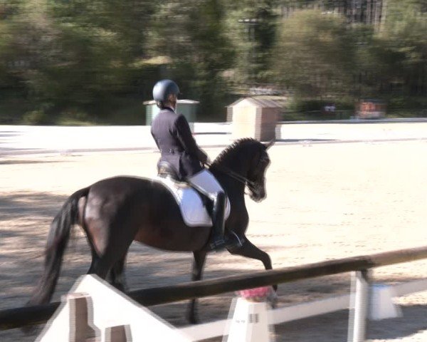 Reitturnier Igls 2024