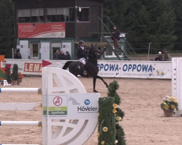 Reitturnier Ranshofen - Braunau am Inn 2024