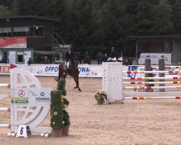 Reitturnier Ranshofen - Braunau am Inn 2024