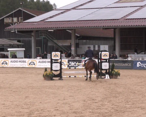 Reitturnier Ranshofen - Braunau am Inn 2024