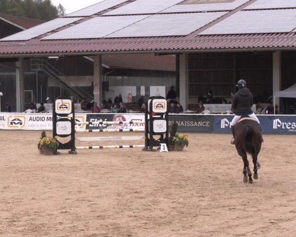 Reitturnier Ranshofen - Braunau am Inn 2024