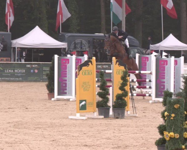 Reitturnier Ranshofen - Braunau am Inn 2024