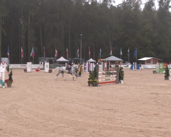 Reitturnier Ranshofen - Braunau am Inn 2024