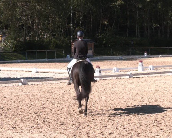 Reitturnier Igls 2024