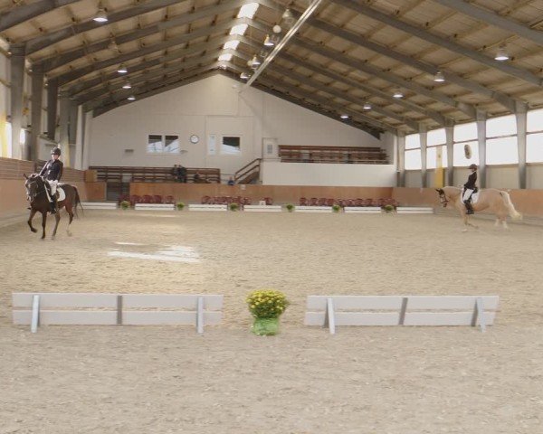 Reitturnier Frechen-Grefrath - Sonnenhof 2024