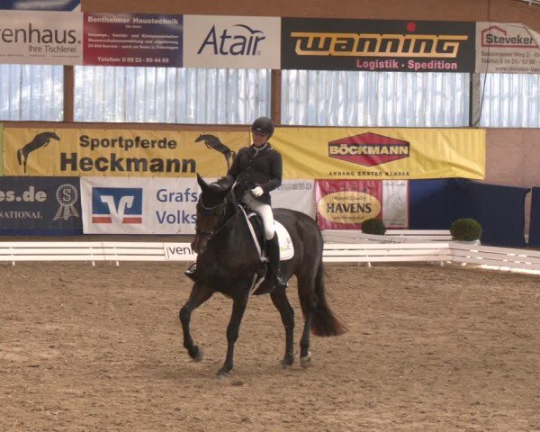 Reitturnier Isterberg 2024