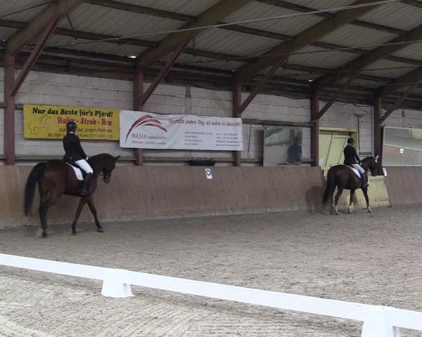 Reitturnier Elisenau 2024
