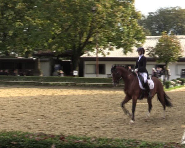 Reitturnier Bottrop-Kirchhellen 2024
