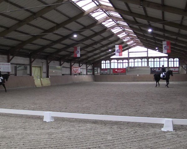 Reitturnier Elisenau 2024