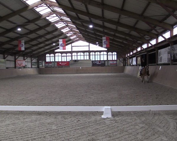 Reitturnier Elisenau 2024