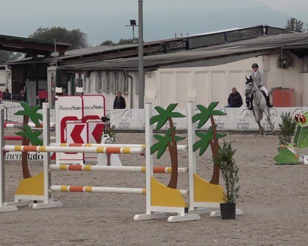 Reitturnier Giubiasco 2024