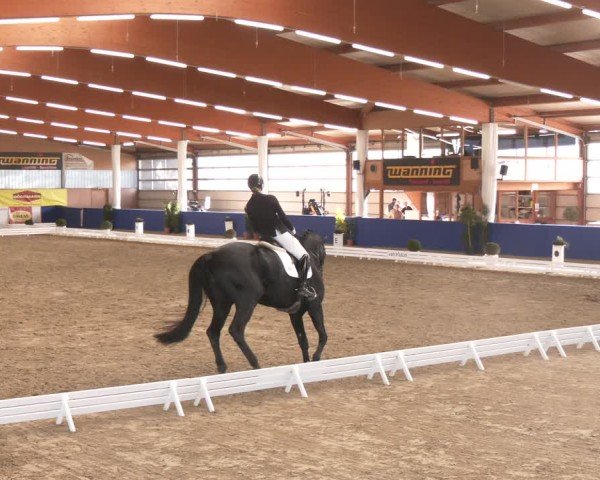 Reitturnier Isterberg 2024