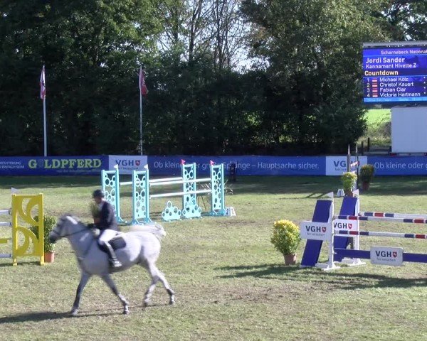 Reitturnier Scharnebeck 2024