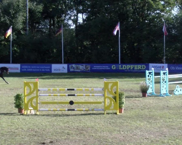 Reitturnier Scharnebeck 2024