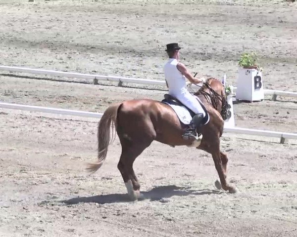 Leutkirch-Haid 2013
