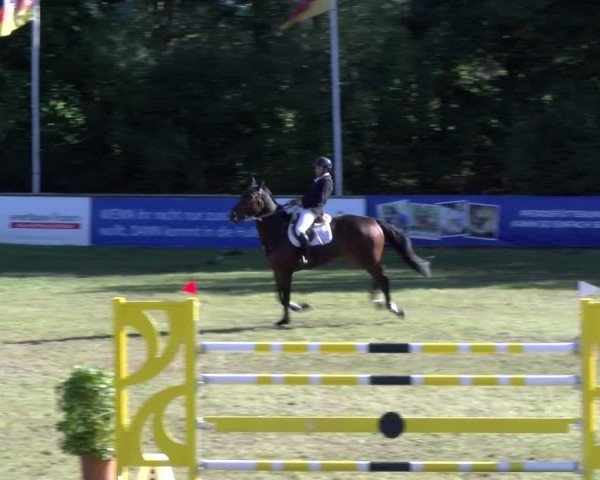 Reitturnier Scharnebeck 2024
