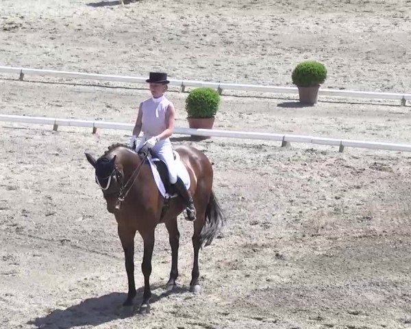 Leutkirch-Haid 2013