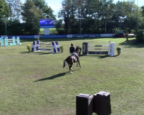Reitturnier Scharnebeck 2024