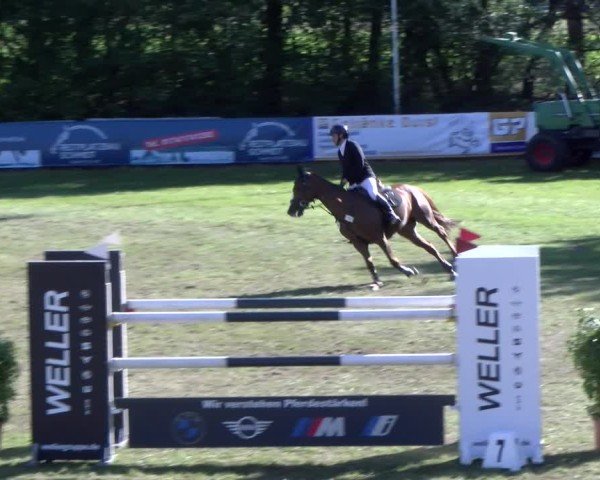 Reitturnier Scharnebeck 2024