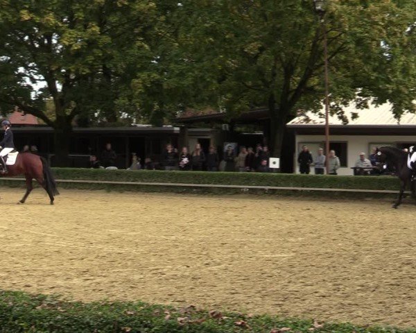 Reitturnier Bottrop-Kirchhellen 2024