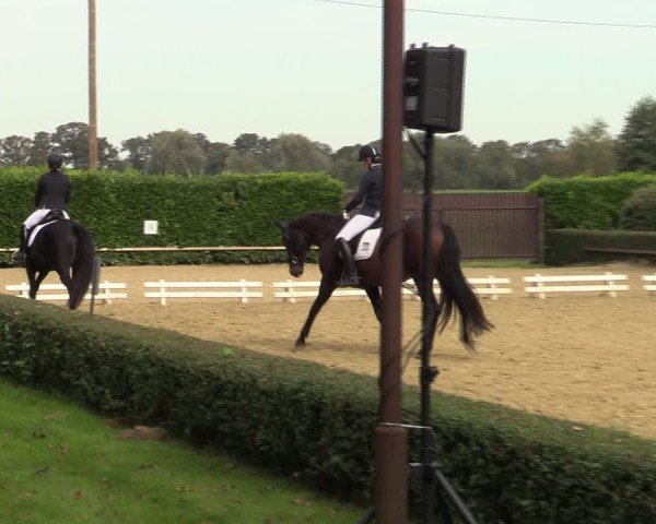 Reitturnier Bottrop-Kirchhellen 2024