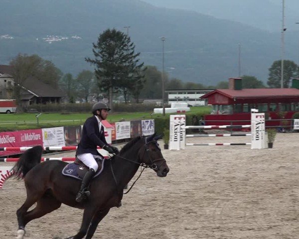 Reitturnier Giubiasco 2024