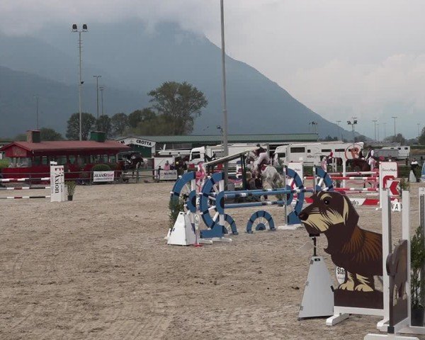Reitturnier Giubiasco 2024