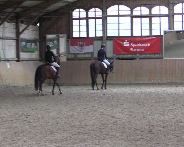 Reitturnier Elisenau 2024