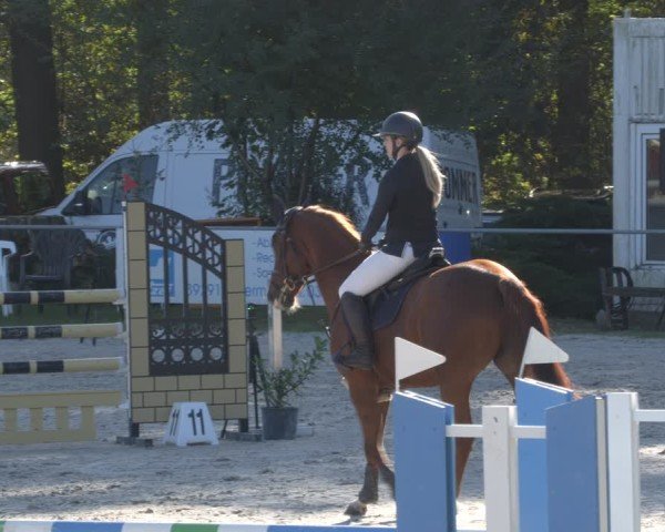 Reitturnier Pietzpuhl 2024