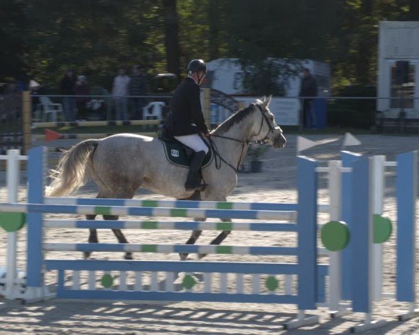 Reitturnier Pietzpuhl 2024