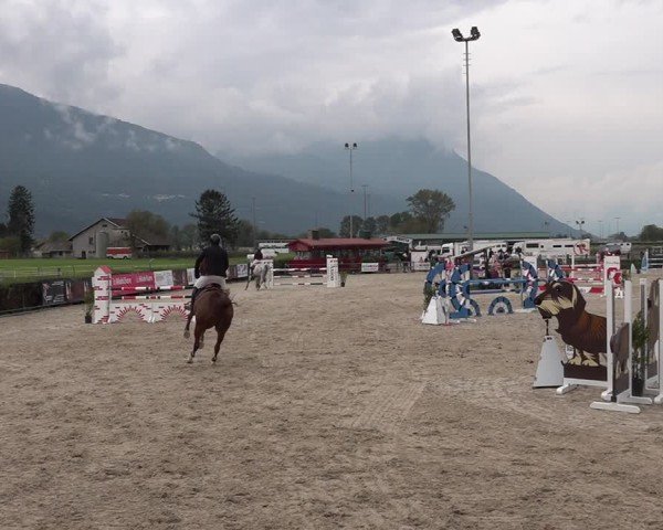 Reitturnier Giubiasco 2024