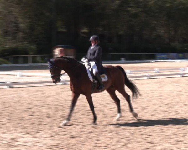 Reitturnier Igls 2024