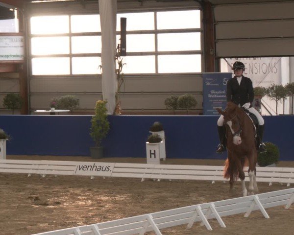 Reitturnier Isterberg 2024
